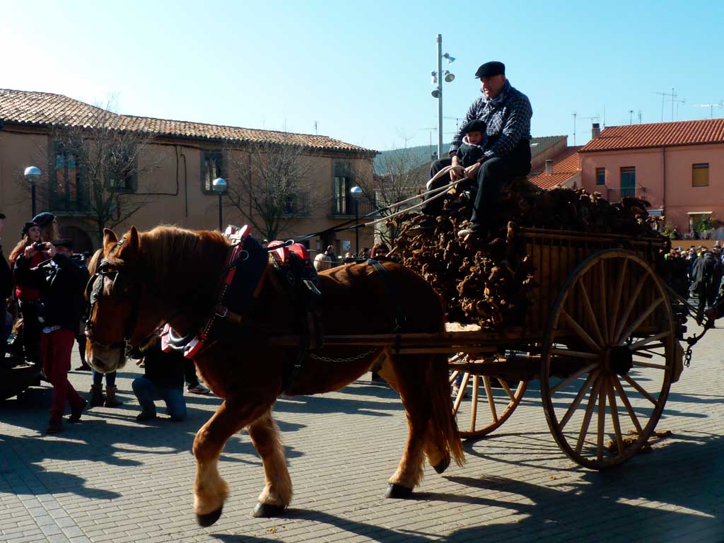 Cavalleria a la cavalcada dels Traginers